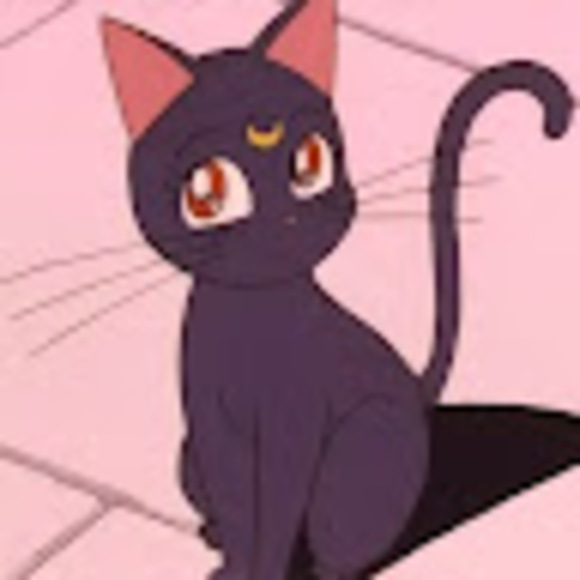 orangecat3344